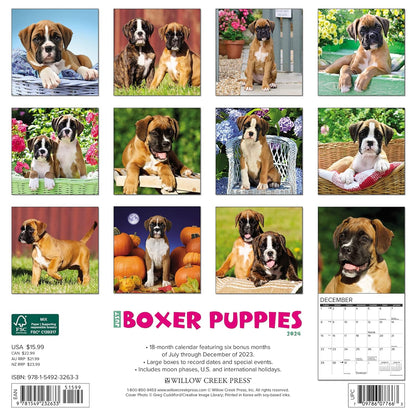 Just Boxer Puppies 2024 12 X 12 Wall Calendar