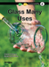 Glass - Many Uses