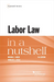 Labor Law in a Nutshell