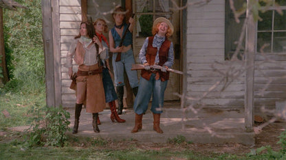 DVD „Pussycat Ranch + Here Comes the Bride“ von Vinegar Syndrome, englische Version