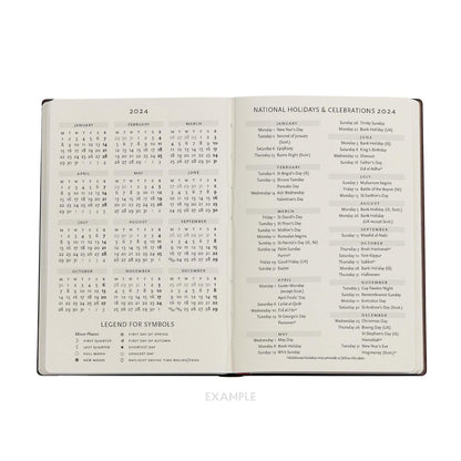 Olive Fairy (Lang’s Fairy Books) Mini 12-month Day-at-a-Time Dayplanner 2024
