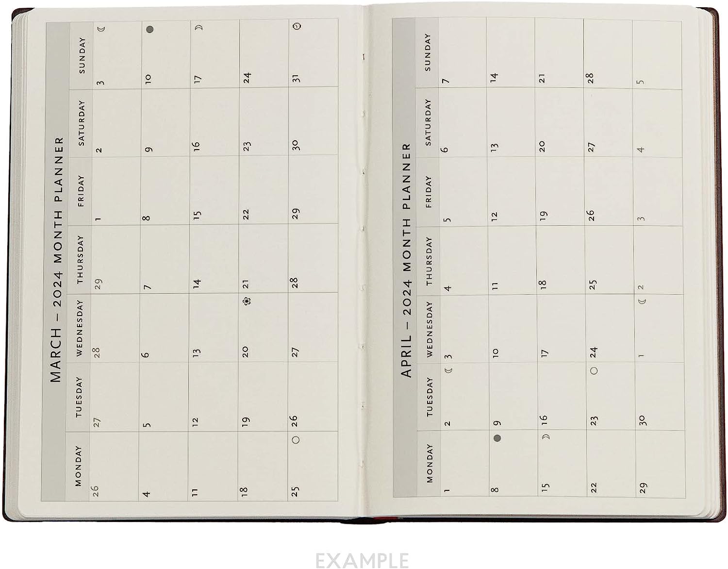 Van Gogh’s Irises (Van Gogh’s Irises) Mini 18-month Dayplanner 2024