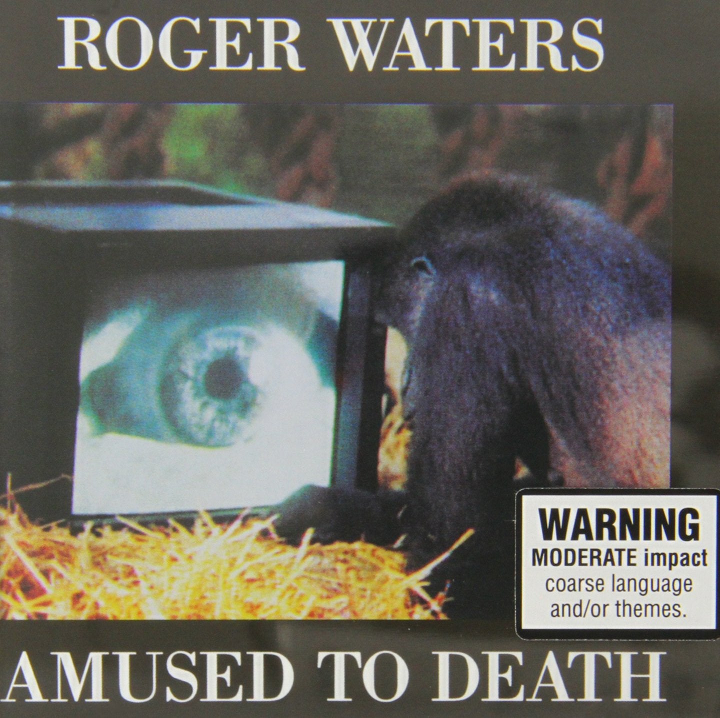 Amused to Death