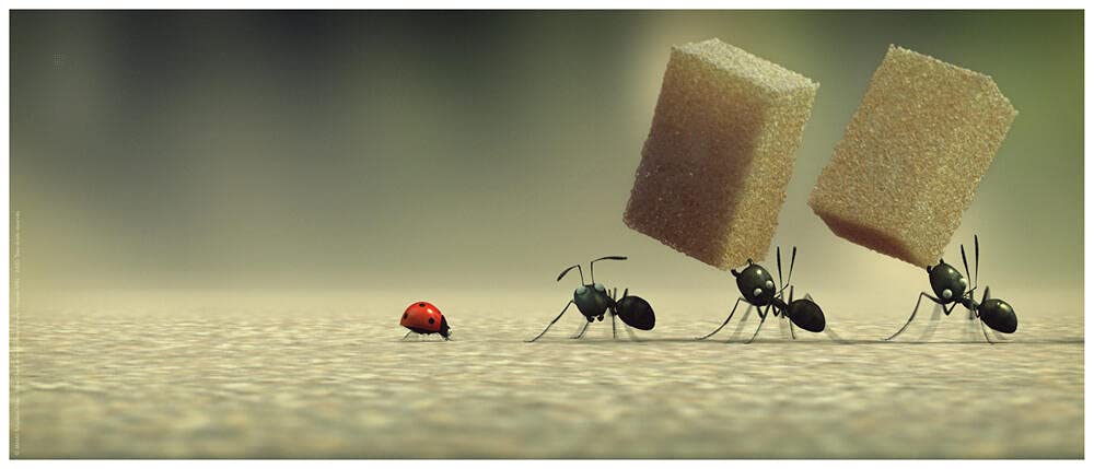 Minuscule, la vallée des fourmis perdues (Combo BLU-RAY 3D + DVD)