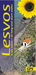 Lesvos Sunflower Guide