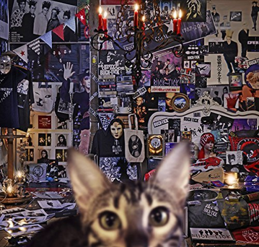 Catalogue 1987-2016 (Limited)