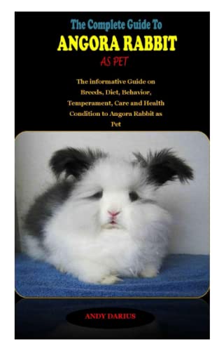 The Complete Guide to Angora Rabbit as Pet