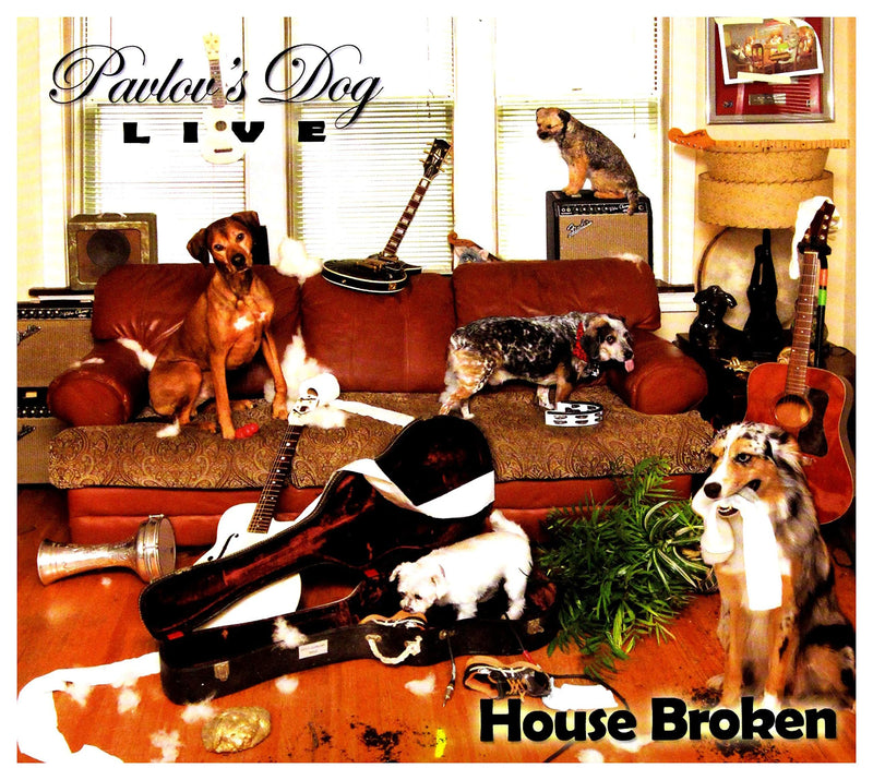 House Broken - Live 2015