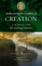 Rediscovering the Goodness of Creation