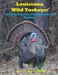 Louisiana Wild Turkeys