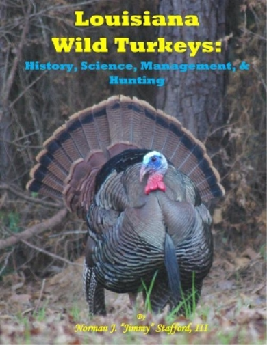 Louisiana Wild Turkeys