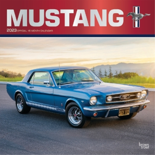 Mustang 2023 Square Foil