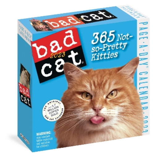 Bad Cat Page-A-Day Calendar 2023