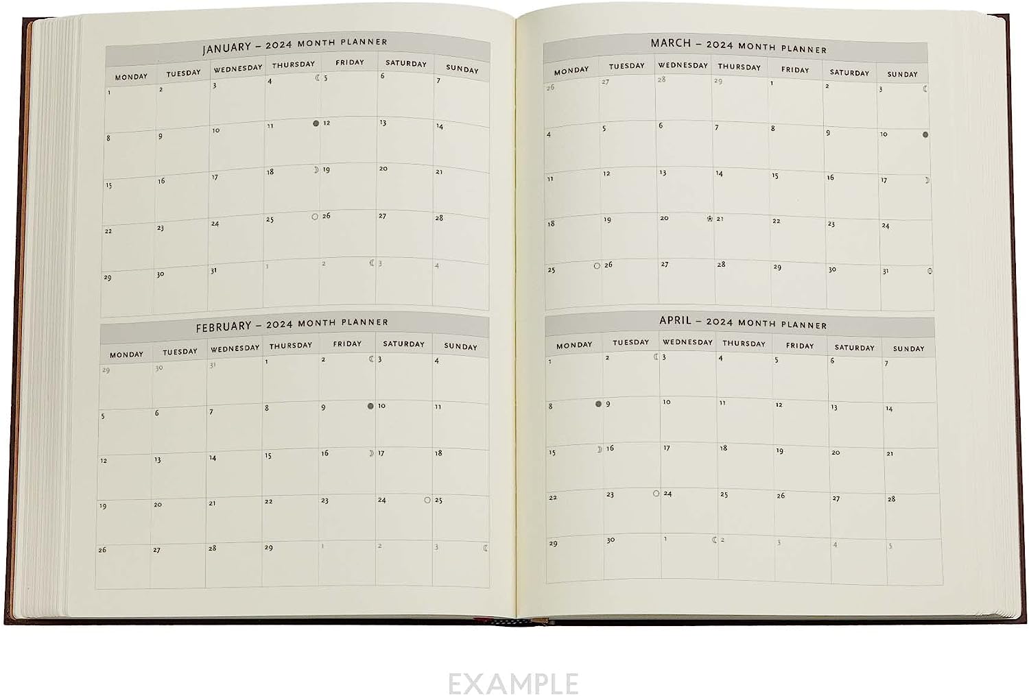 Safavid Indigo (Safavid Binding Art) Ultra 18-month Dayplanner 2024