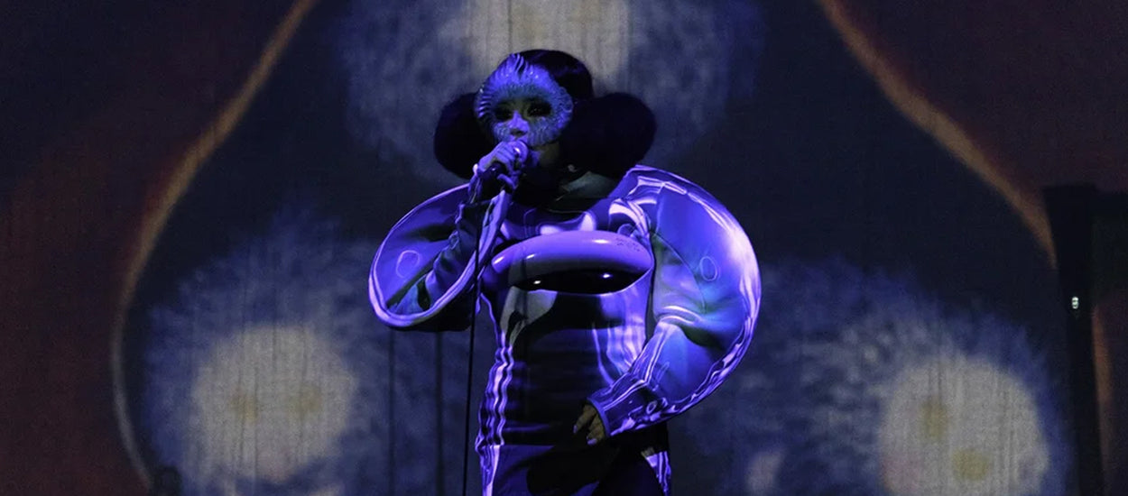 Bjork