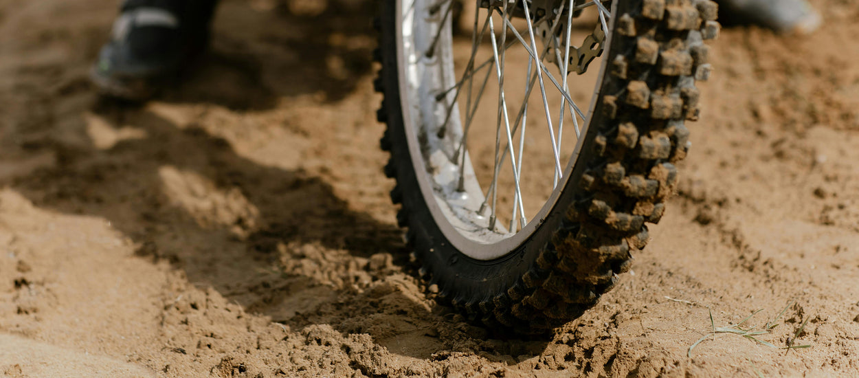 Schwalbe