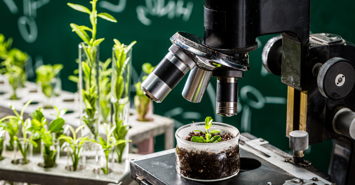 YA Science & Tech