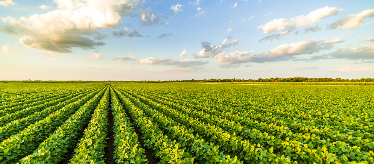 Agriculture & Farming