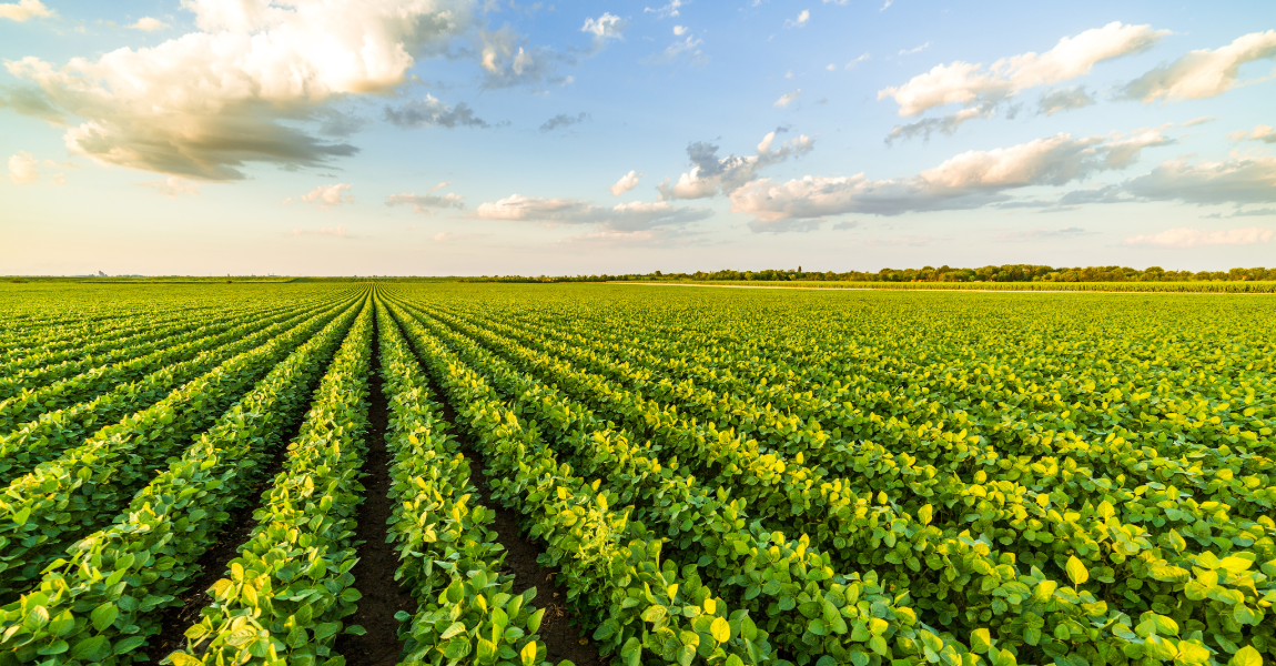 Agriculture & Farming