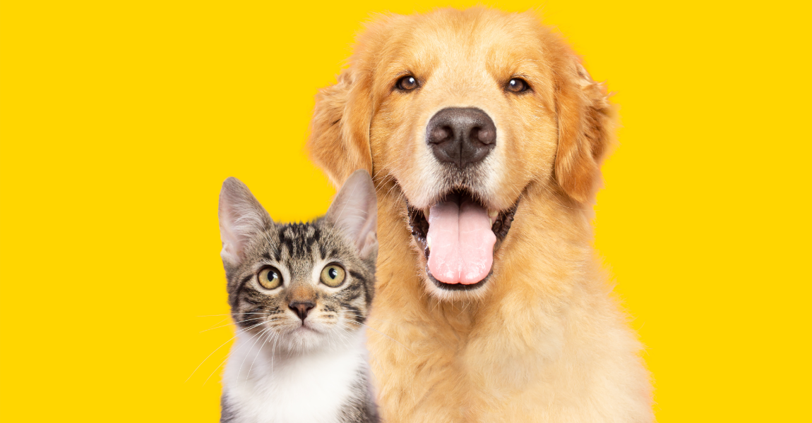 Veterinary Medicine