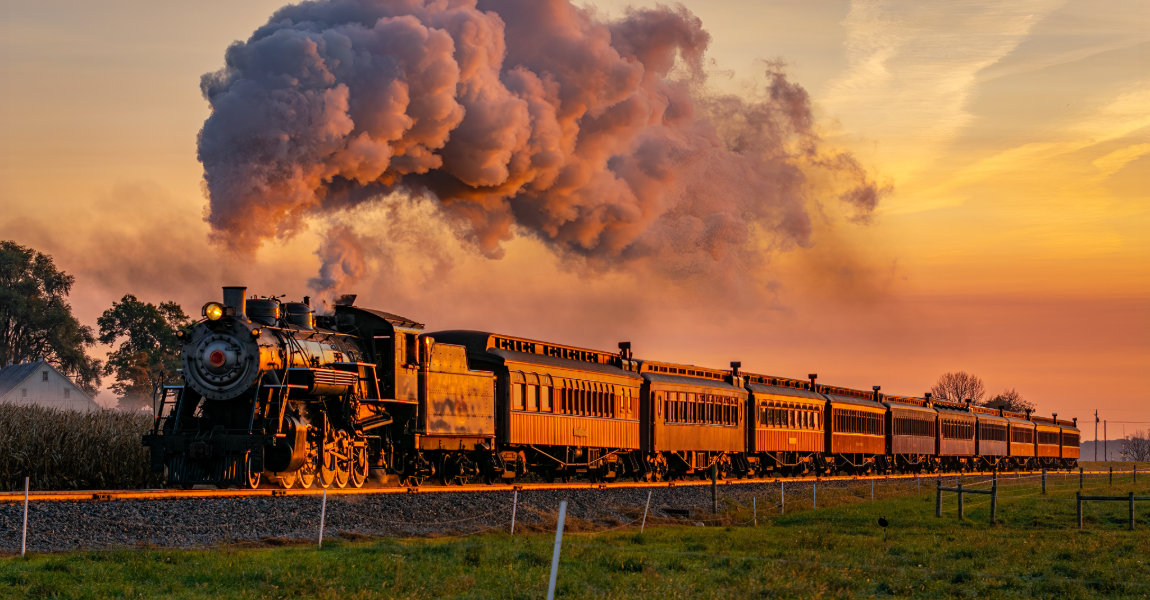 Travel & Transport