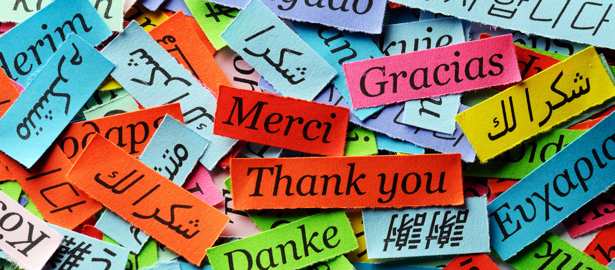 Adult Language Learning