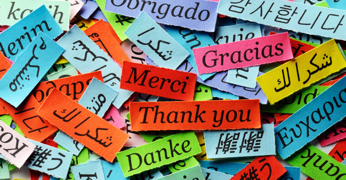 Adult Language Learning