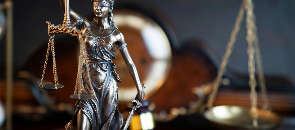 Constitutional Law