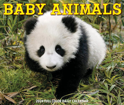 Baby Animals 2024 6.2 X 5.4 Box Calendar