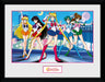 SAILOR MOON - Collector Print 30X40 - Group