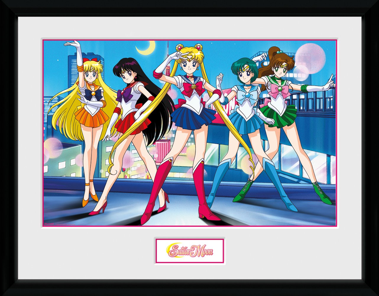 SAILOR MOON - Collector Print 30X40 - Group