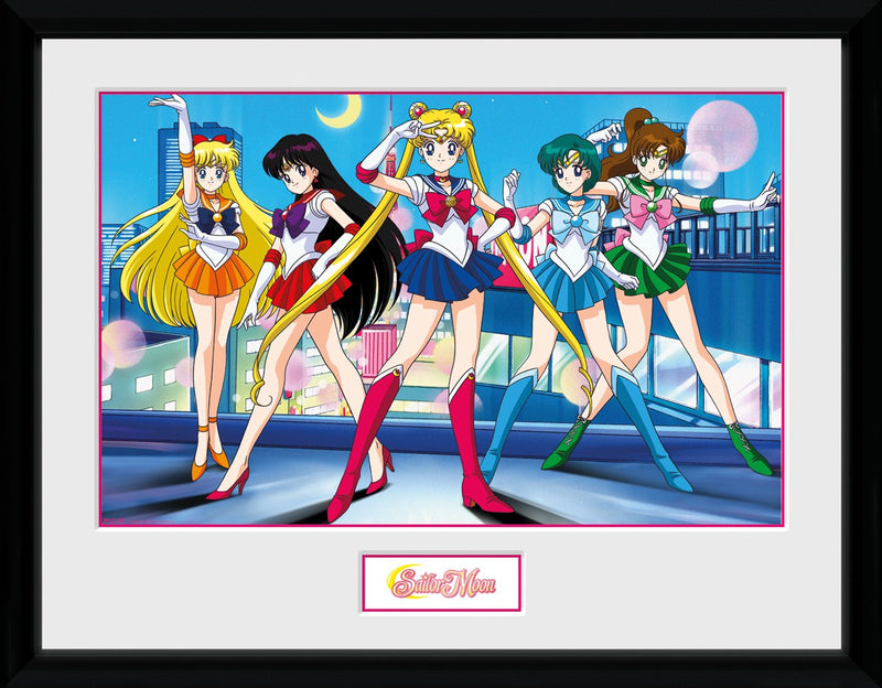 SAILOR MOON - Collector Print 30X40 - Group