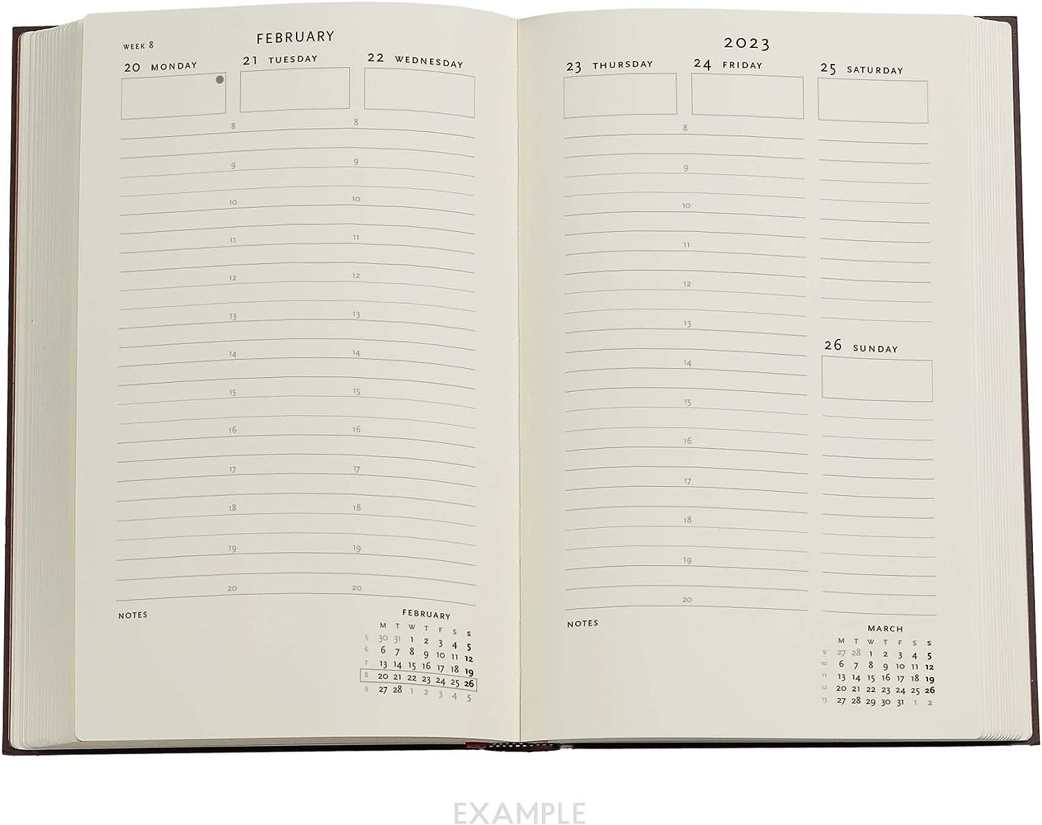 Destiny (Voltaire’s Book of Fate) Maxi Vertical Dayplanner 2023 (Elastic Band Closure)