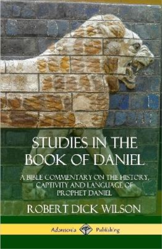 Studies in the Book of Daniel: A Bible Commentary on the History, Captivity and Language of Prophet Daniel (Hardcover)