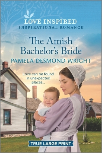 Amish Bachelor's Bride