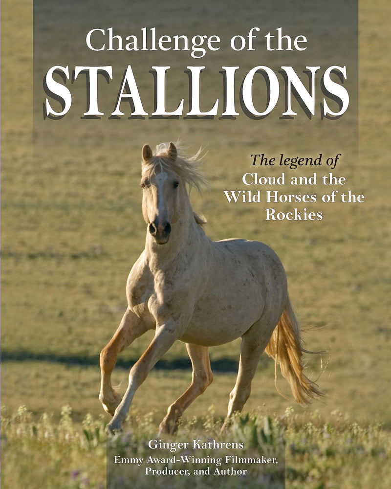 Challenge of the Stallions