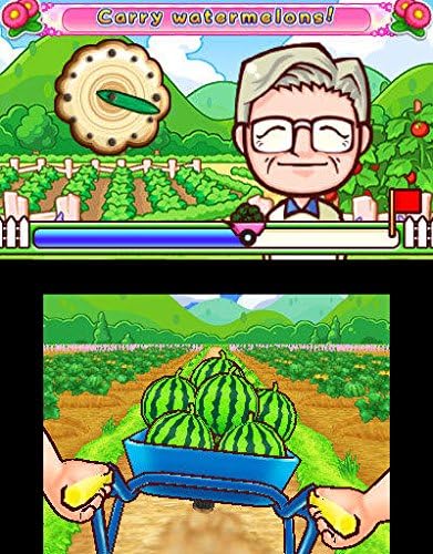 3DS - Gardening Mama