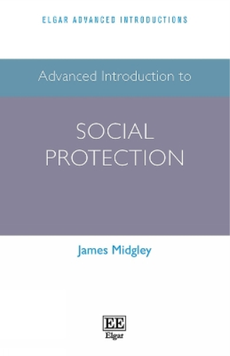 Advanced Introduction to Social Protection