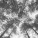 Cassandra Miller: Traveller Song/Thanksong