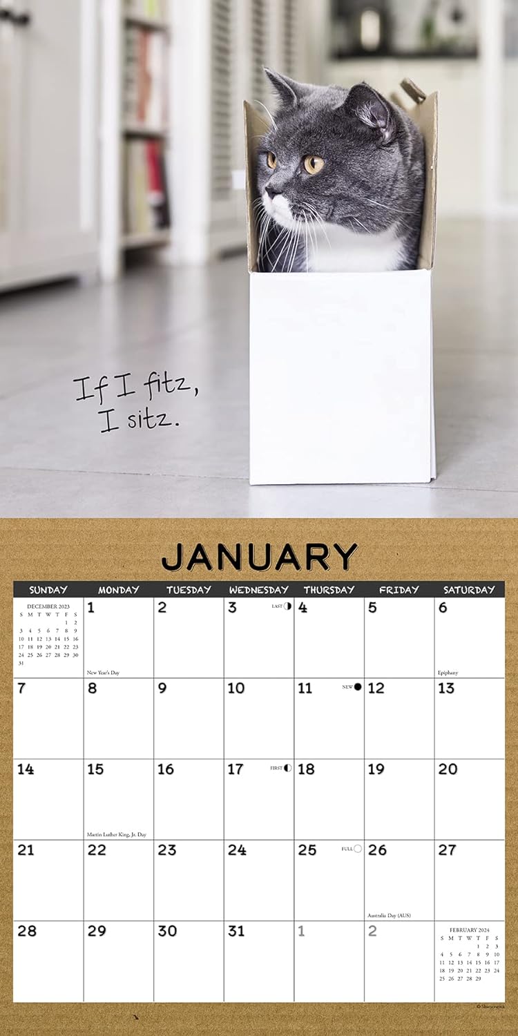 Cat in a Box 2024 12 X 12 Wall Calendar