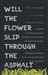 Will the Flower Slip Through the Asphalt?