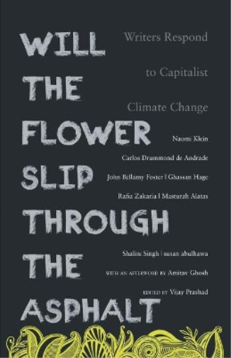 Will the Flower Slip Through the Asphalt?