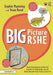 Big Picture Rshe