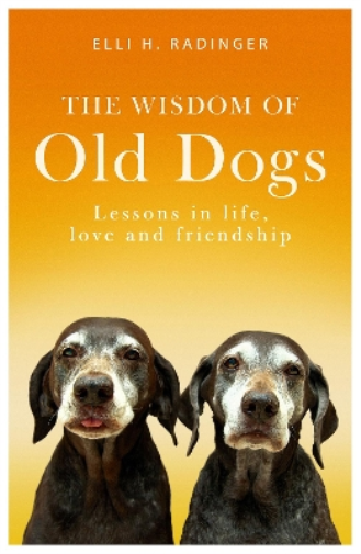 The Wisdom of Old Dogs
