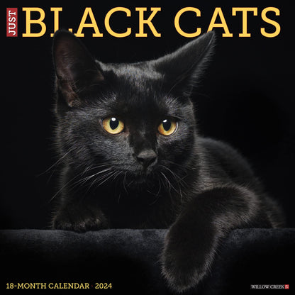 Just Black Cats 2024 12 X 12 Wall Calendar
