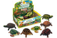 Teorema: Geo Nature - Tartarughe Colorate Soffici 16 Pz