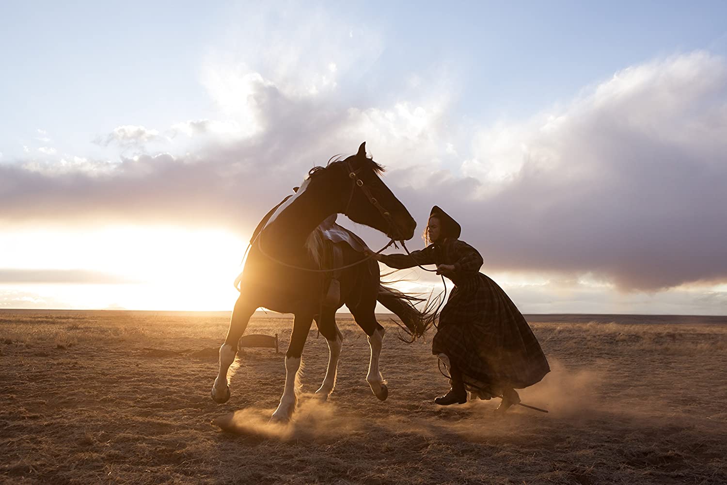 The Homesman