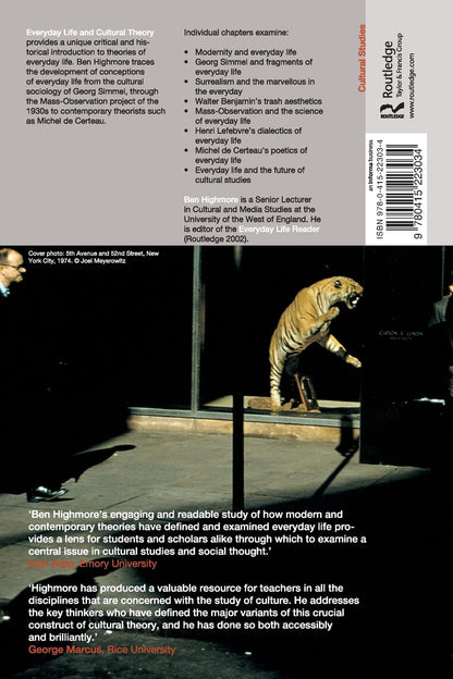 Everyday Life and Cultural Theory