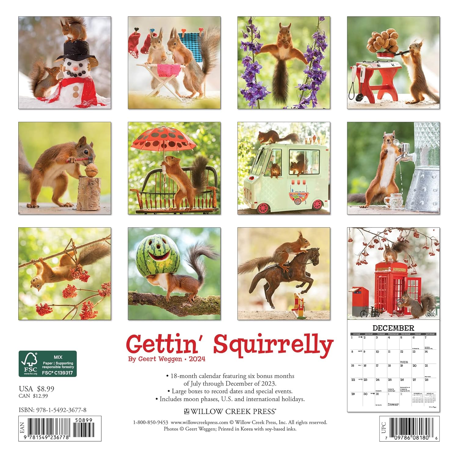 Gettin' Squirrelly 2024 7 X 7 Mini Wall Calendar