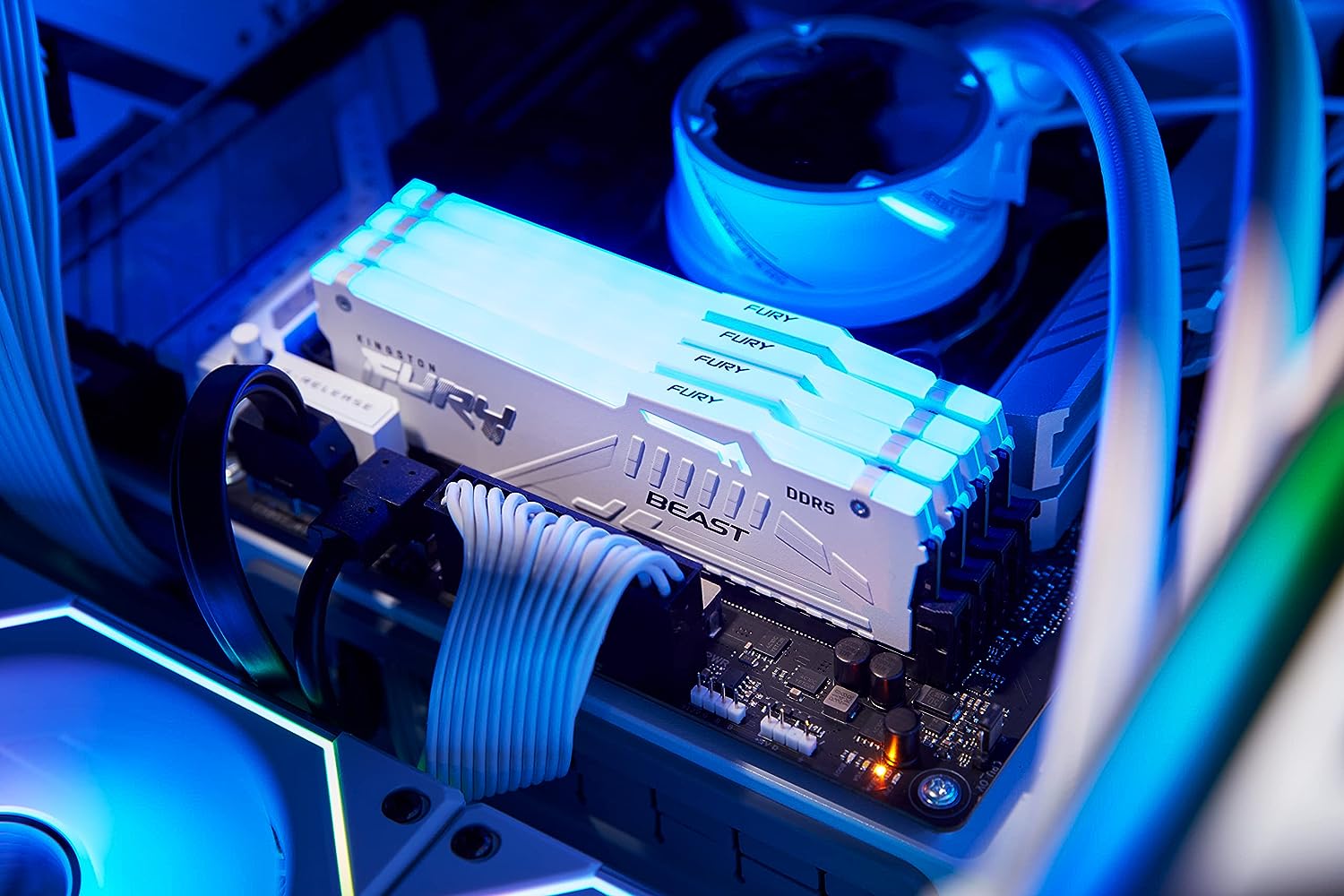 Kingston Fury Beast White RGB 16GB 5600MT/s CL40 DDR5 XMP DIMM | Infrared Syncing | Fury CTRL Software | Overclocking | Plug N Play | Intel XMP 3.0 | Single Module | KF556C40BWA-16 White 5600MT/s 16GB
